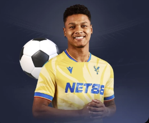 金刚体育官网网址